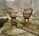 Titchmars and Goodwin elm bar stools or island chairs