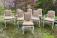 Country French dining chairs in white paint