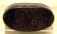 Antique Hand Painted Snuff Box with gold flake design c1820